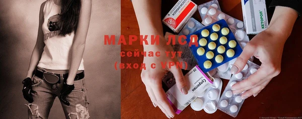 сатива Липки