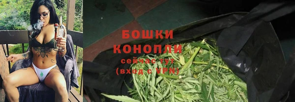 ГАЛЛЮЦИНОГЕННЫЕ ГРИБЫ Лихославль