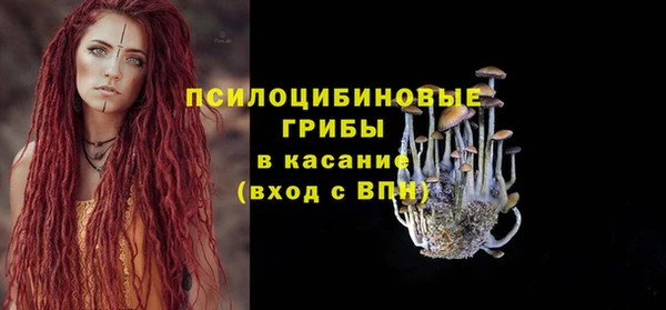 сатива Липки