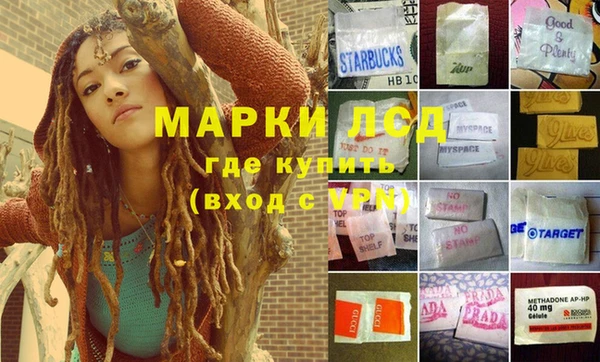 ГАЛЛЮЦИНОГЕННЫЕ ГРИБЫ Лихославль