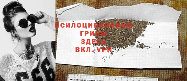 ГАЛЛЮЦИНОГЕННЫЕ ГРИБЫ Лихославль