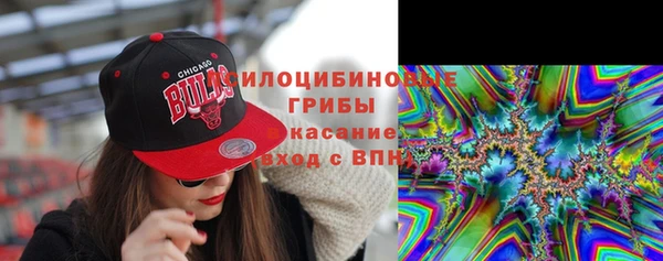 ГАЛЛЮЦИНОГЕННЫЕ ГРИБЫ Лихославль