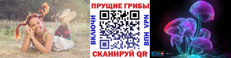 Купить где  Ковылкино  Псилоцибиновые грибы MAGIC MUSHROOMS 